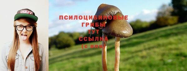ешки Абинск