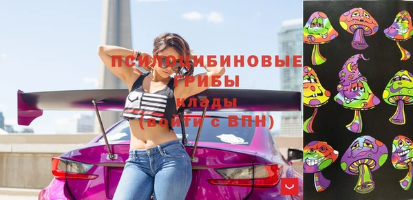 ешки Абинск