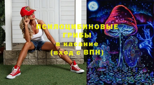 ешки Абинск