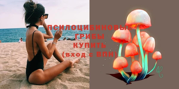 ешки Абинск
