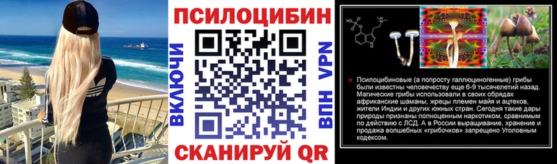 ОМГ ОМГ как зайти  Староминская  Псилоцибиновые грибы GOLDEN TEACHER 