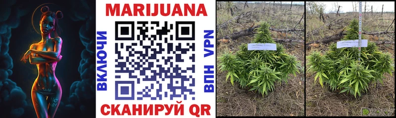 Бошки Шишки SATIVA & INDICA  купить наркотик  Староминская 